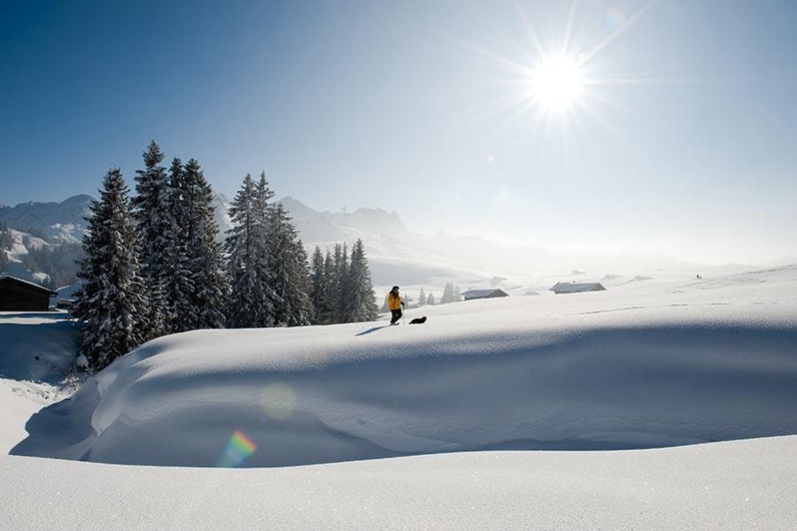 landgasthof-neuwirt-lofer-winterwandern001